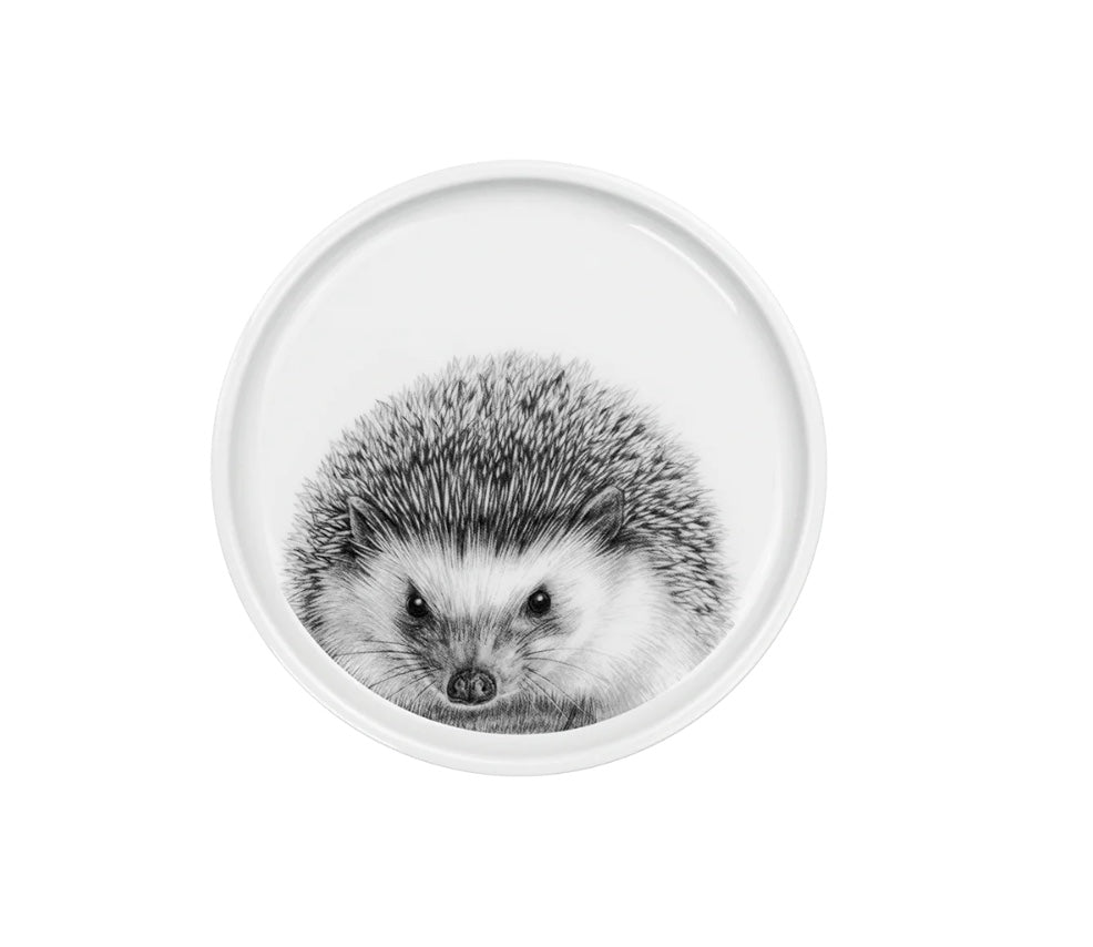 Teller Igel 17cm