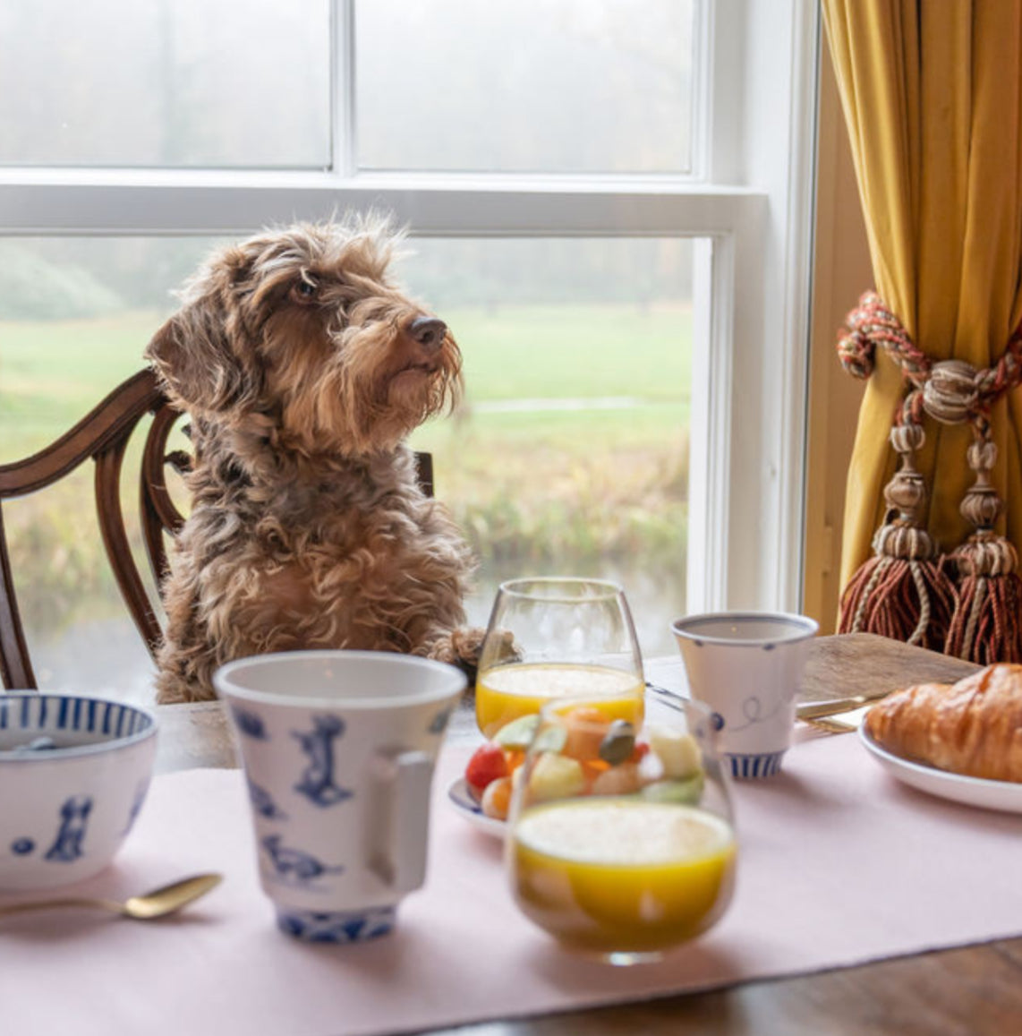 Dutch Blue Dackel Kaffeetasse 350ml