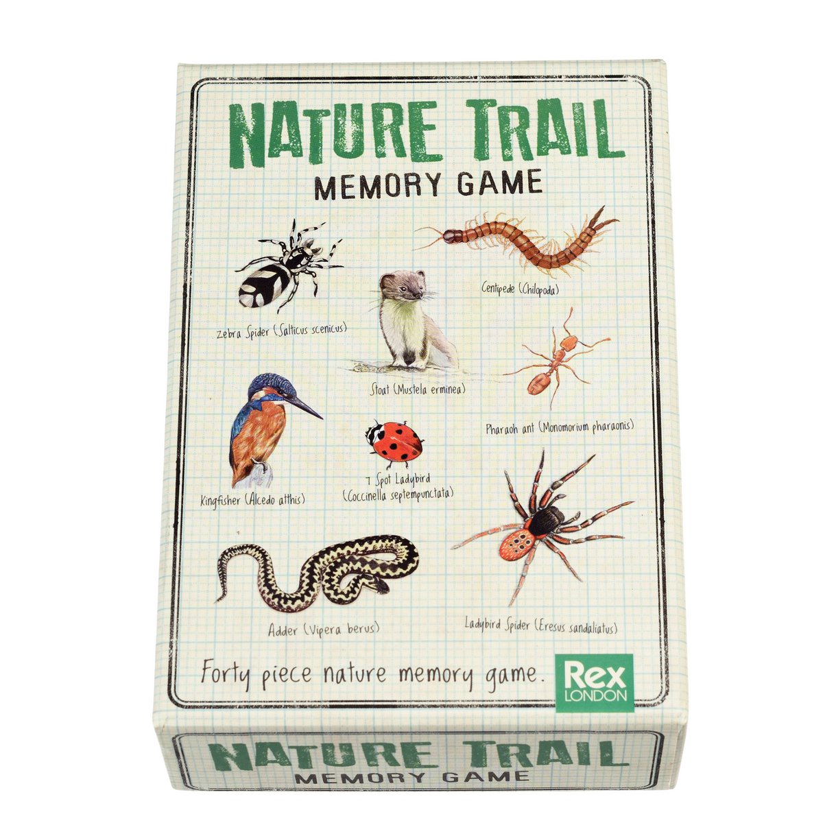 Nature Trail Riesen Memory Spiel