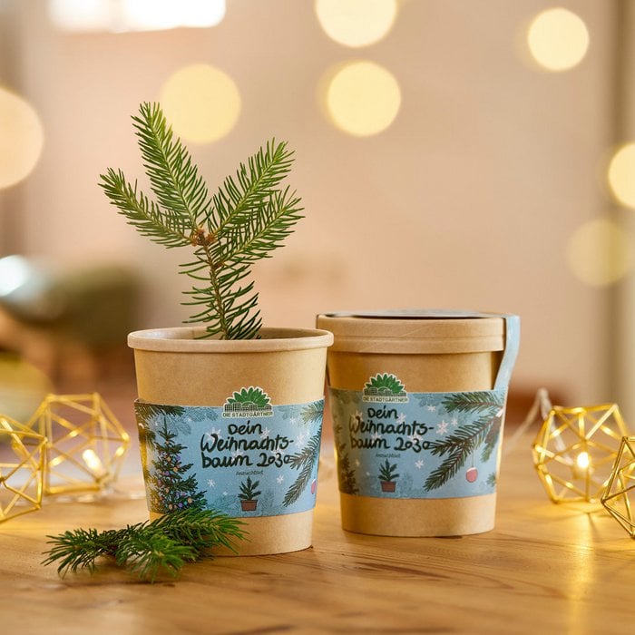 Blumenbecher - Dein Weihnachstbaum 2030