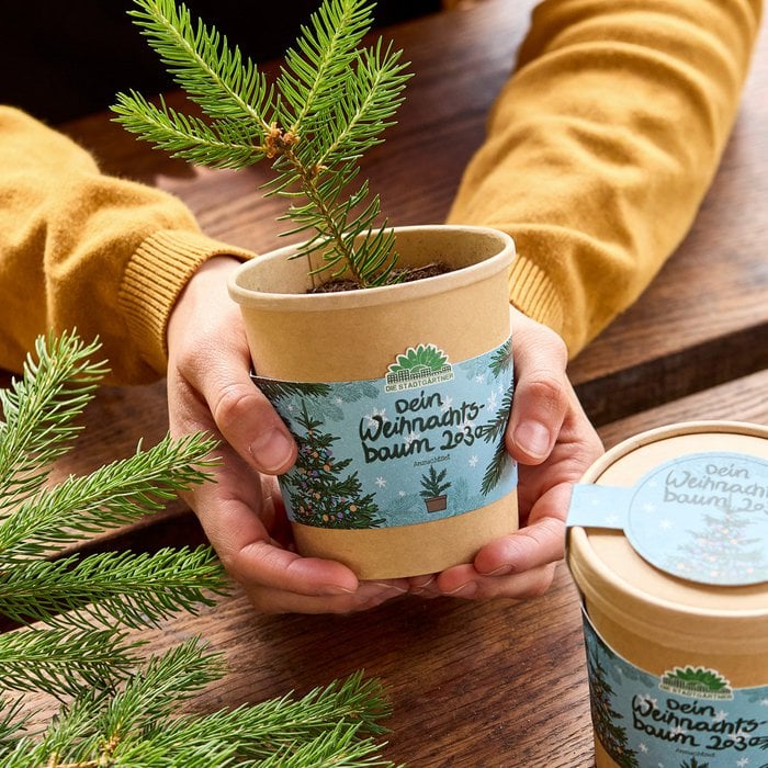 Blumenbecher - Dein Weihnachstbaum 2030