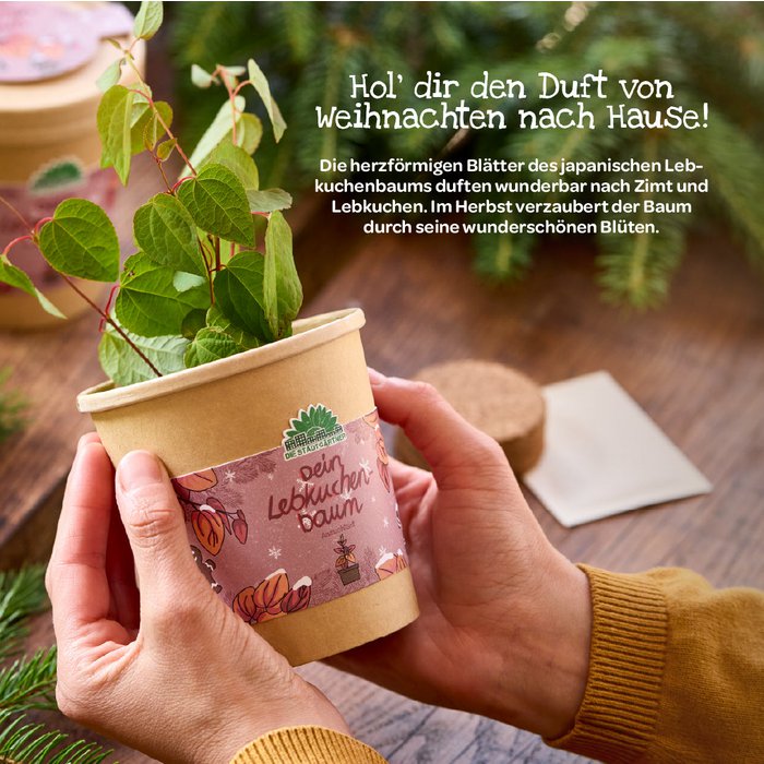 Blumenbecher - Lebkuchenbaum