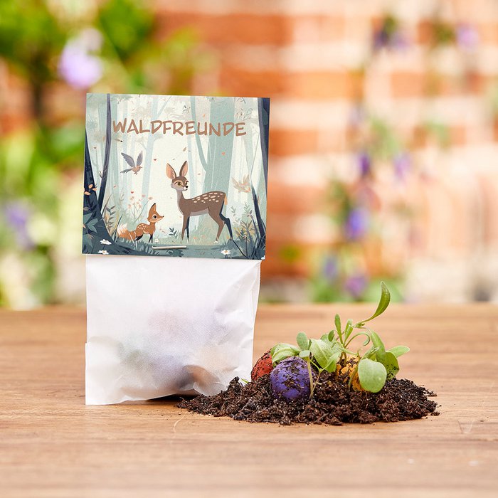 5er Blumenmurmeln Waldfreunde