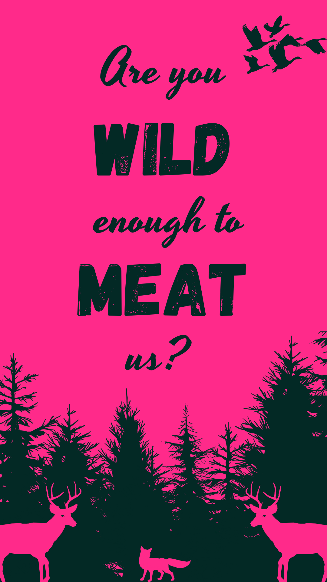 Wild Tasting in der Waldgeflüster Alm am 22.06.2024