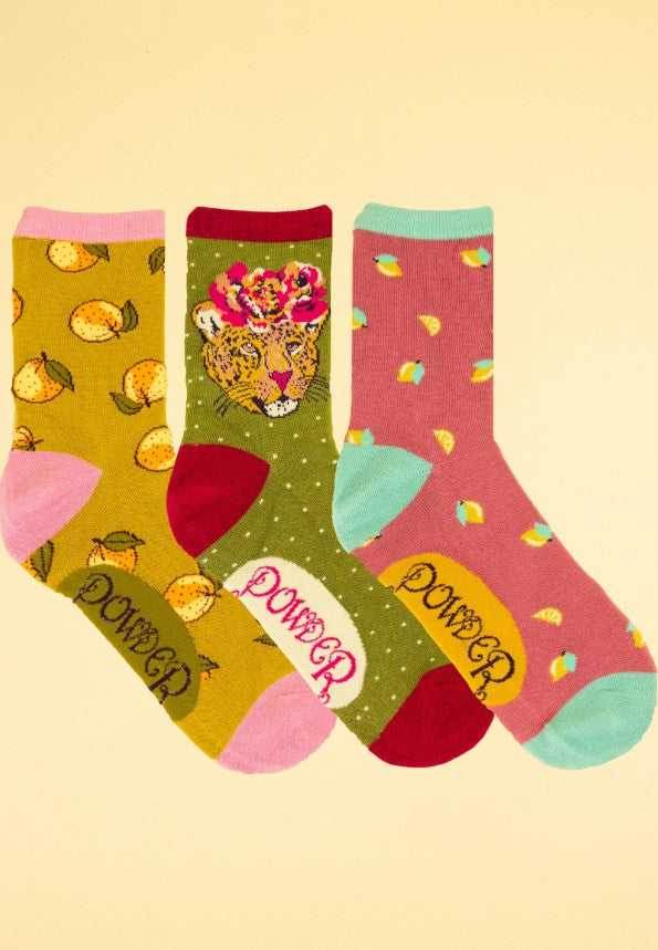 Fairy Socks in a Box -Leo-
