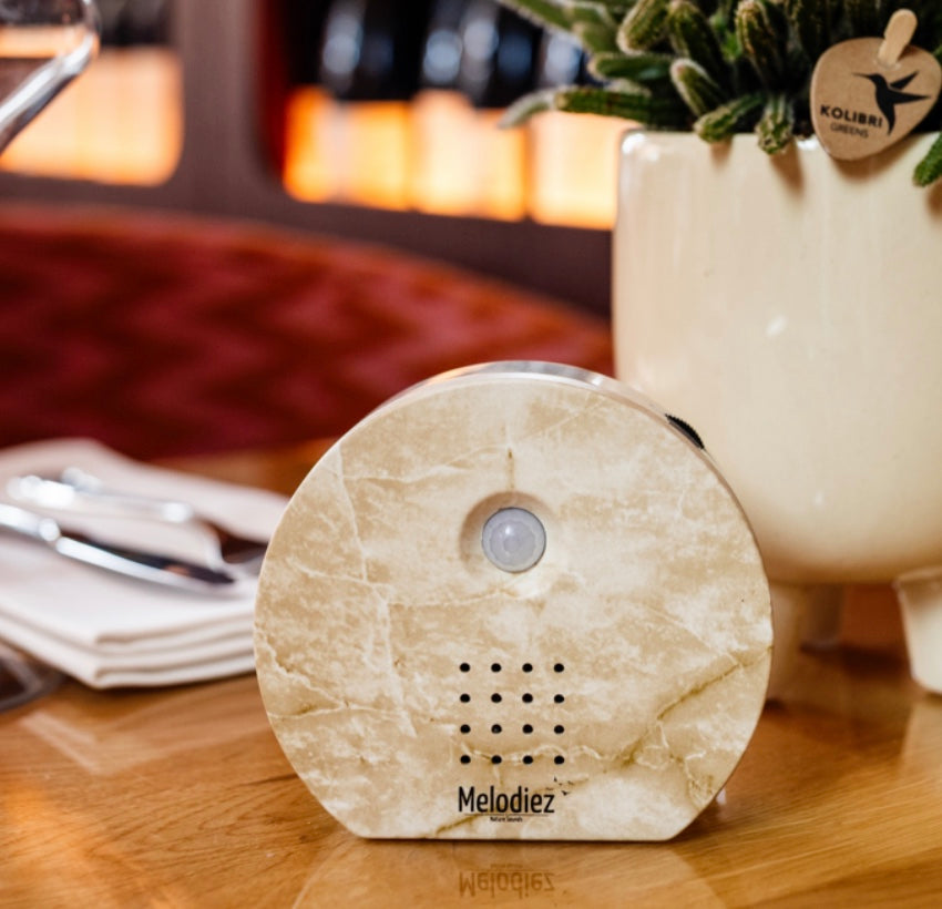 Melodiez Sound Box