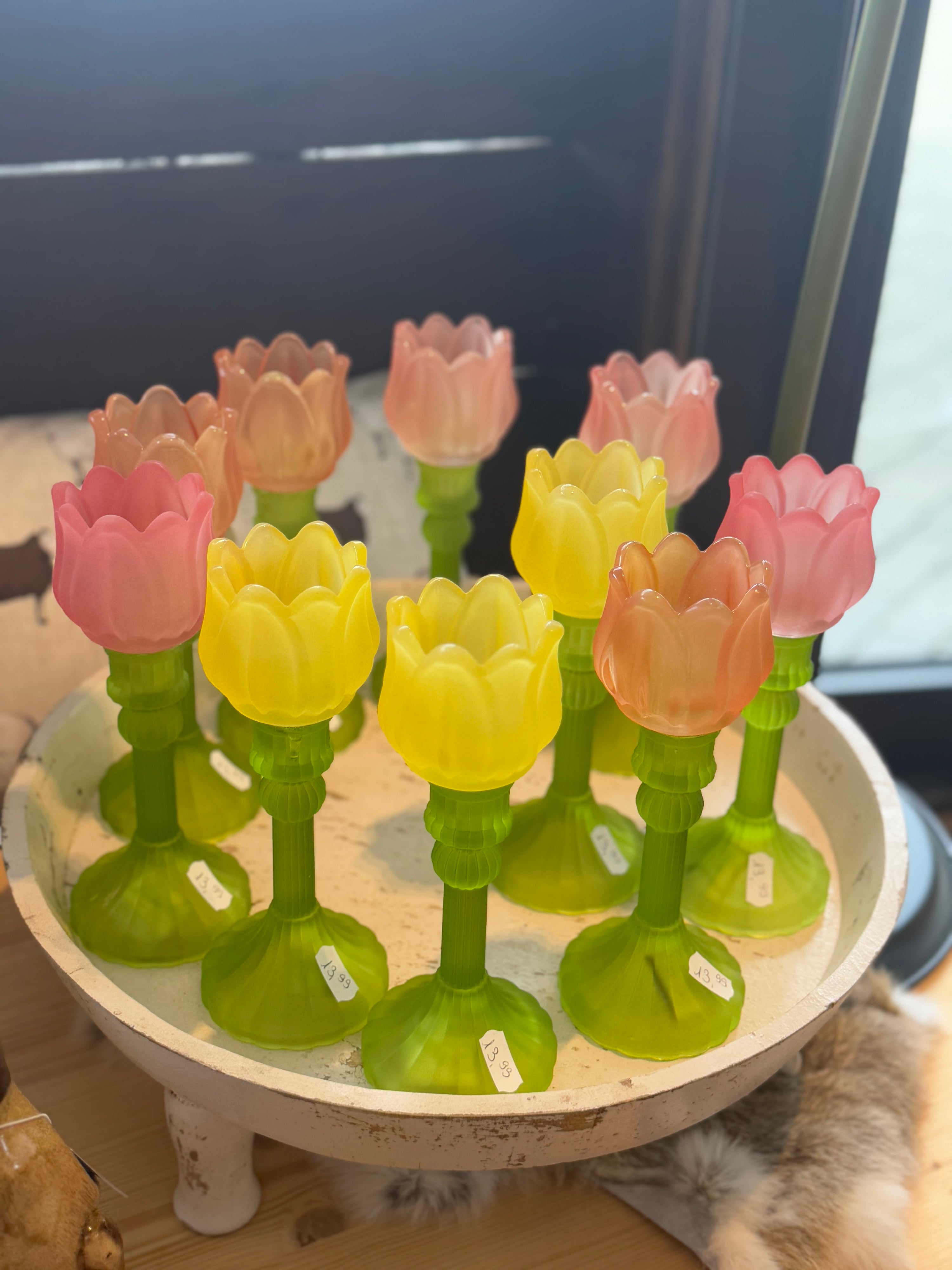 Tulpen Teelicht -Farbe wählbar-