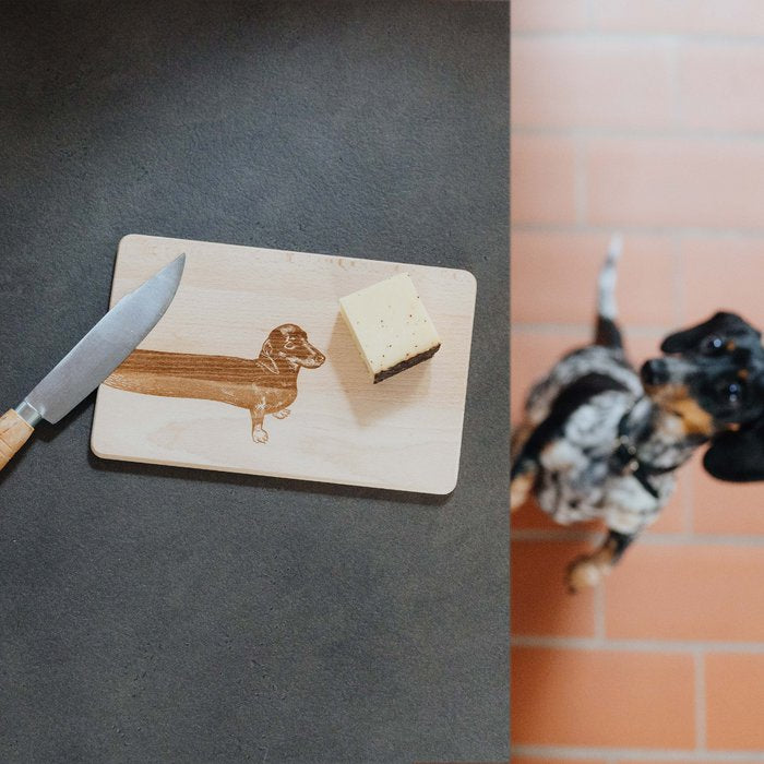 Brettchen spazierender Dackel