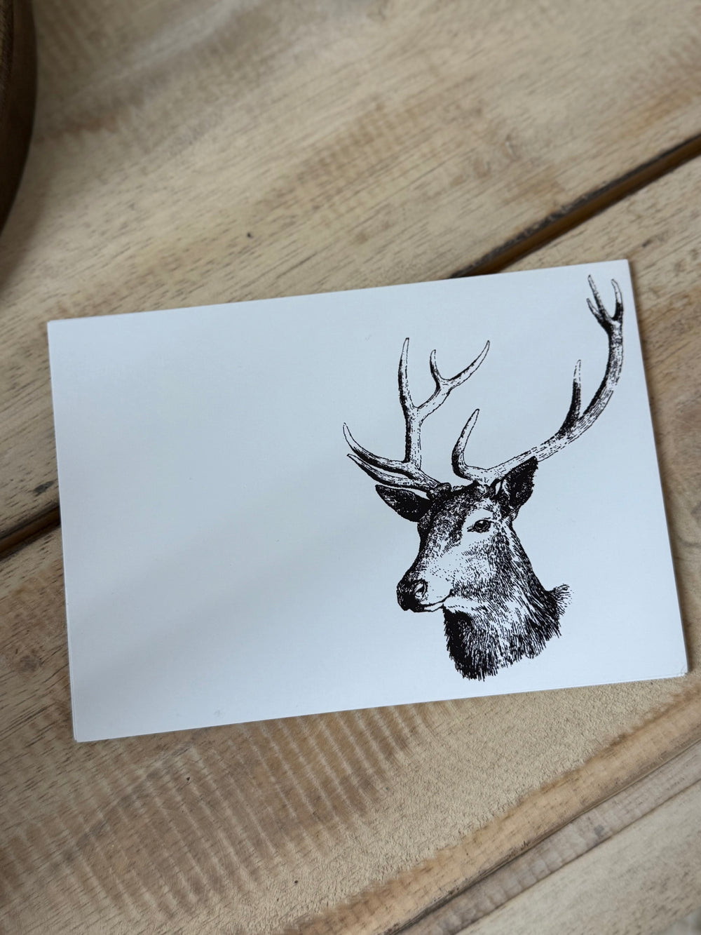 Postkarte Hirsch S/W