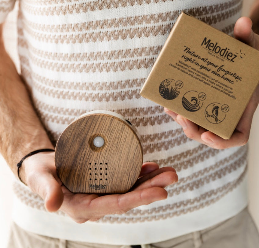 Melodiez Soud Box