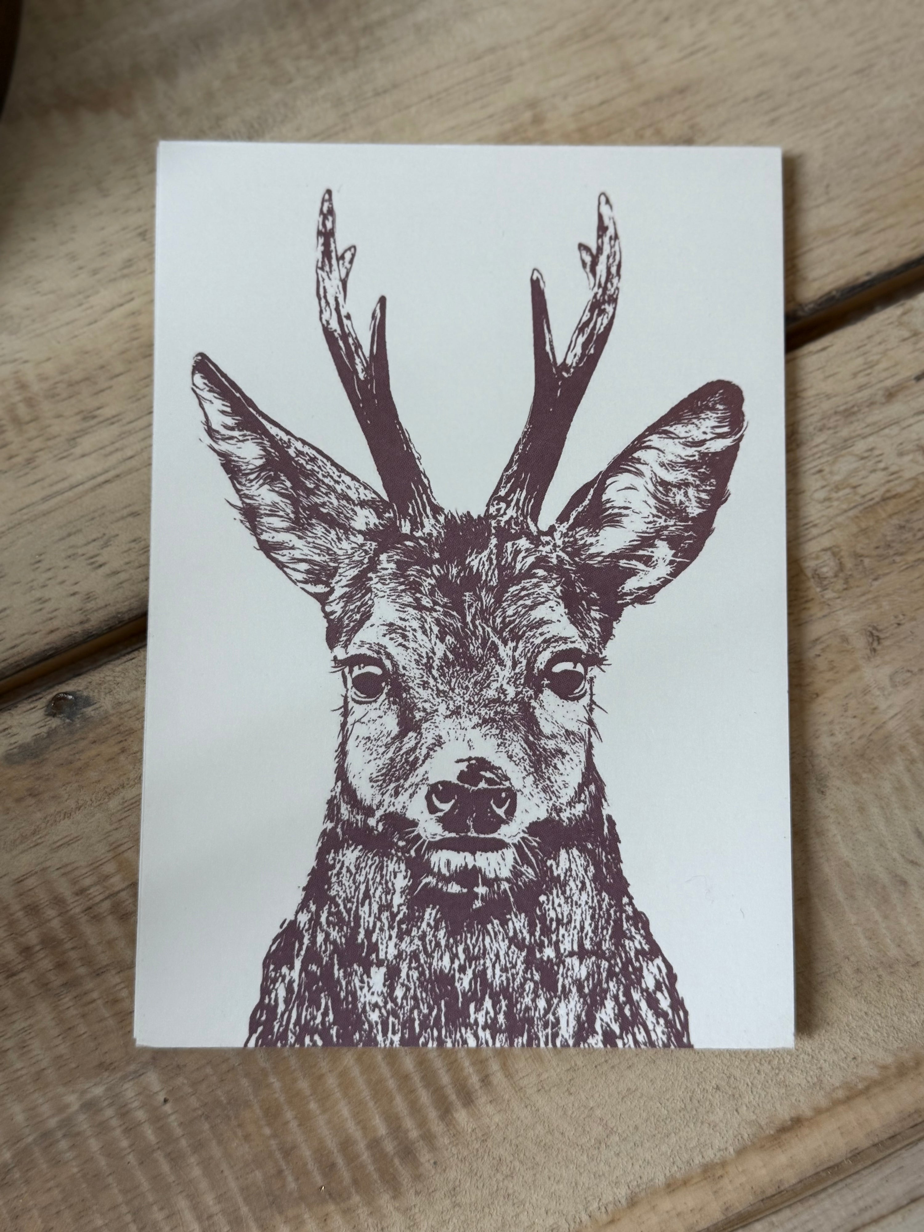 Postkarte Rehbock