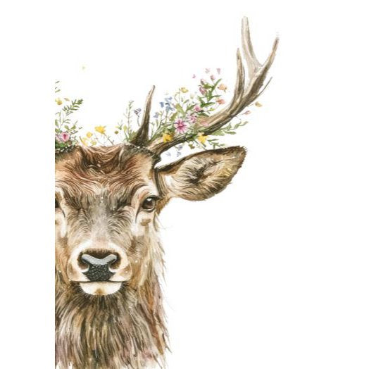 Postkarte Oh my Deer!