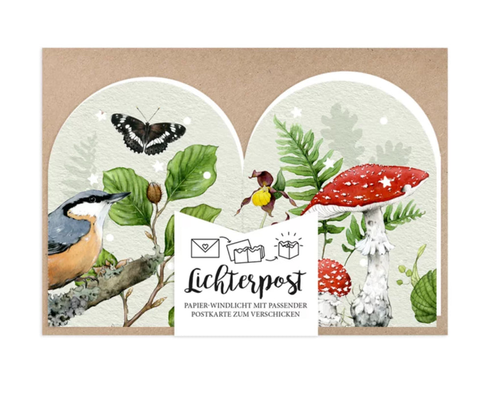 Lichterpost Laubwald