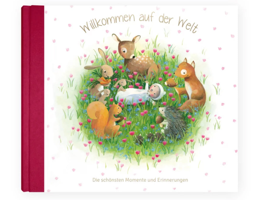 Babyerinnerungsalbum