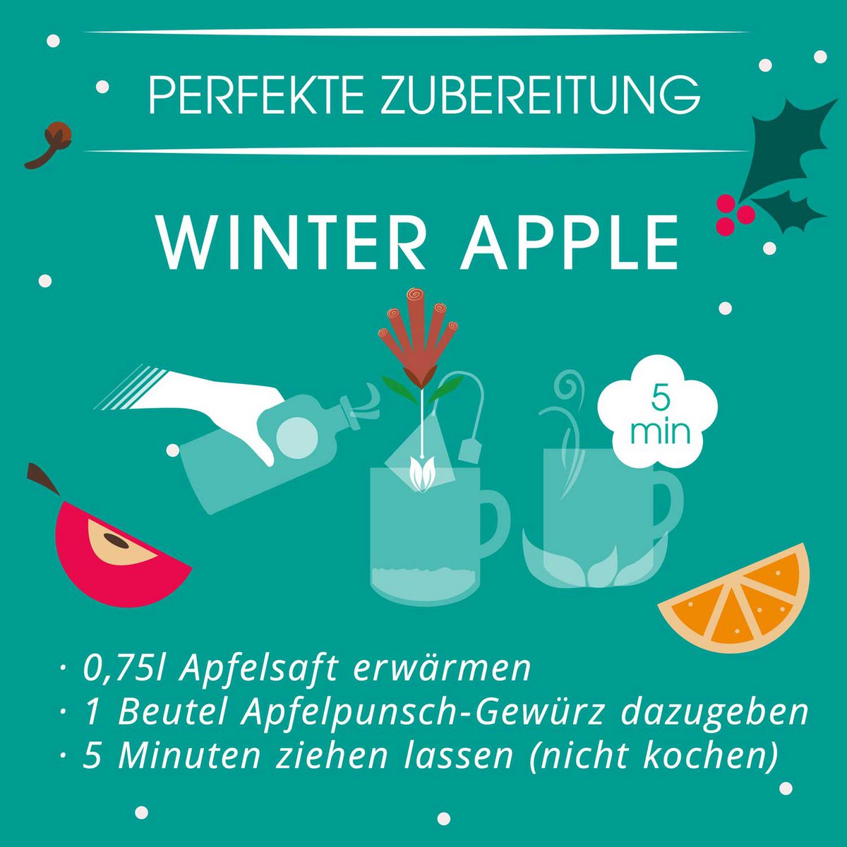 Apfel Punsch Gewürz "Winter Apple", BIO, 7 Pyramiden-Beutel