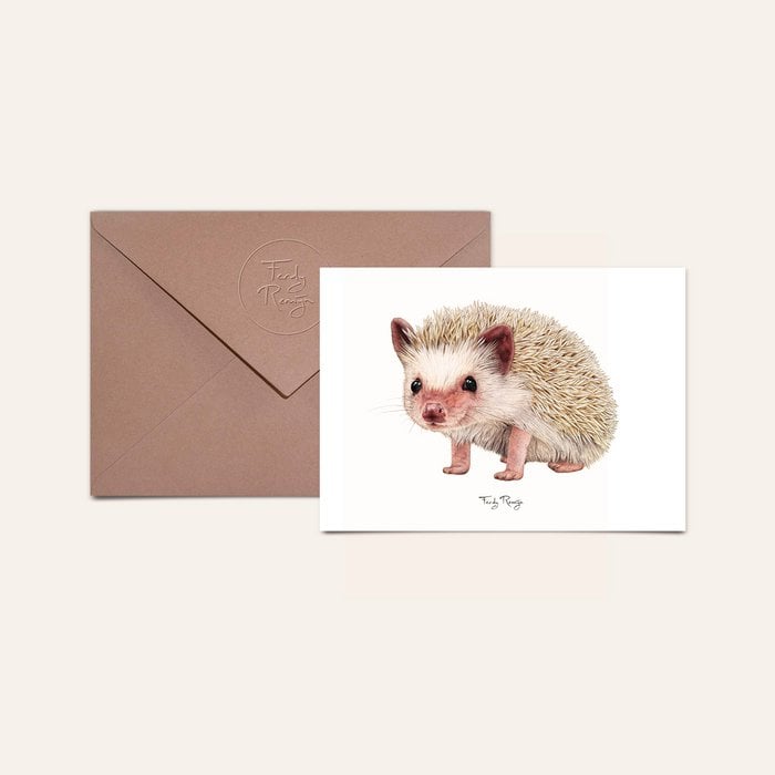 Postkarte Igel