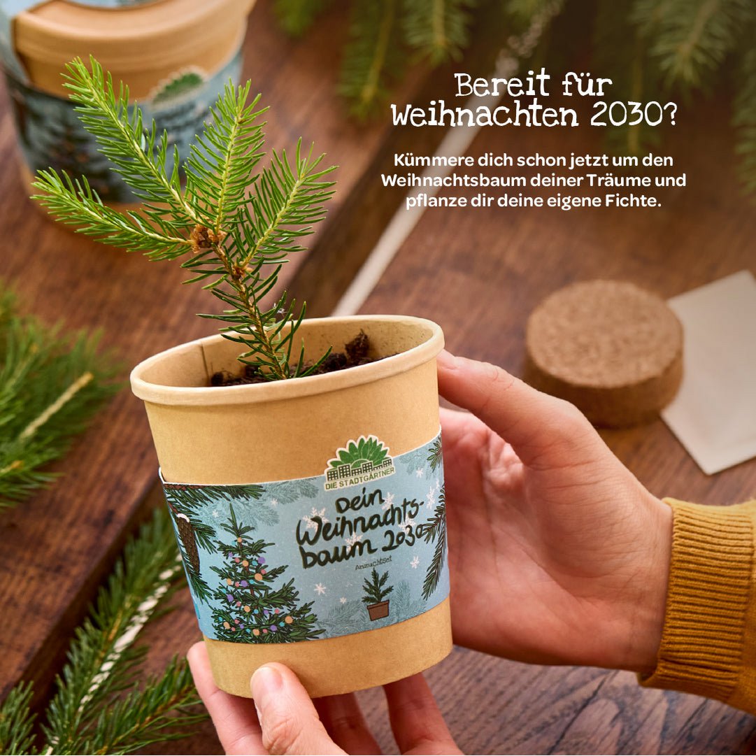Blumenbecher - Dein Weihnachstbaum 2030