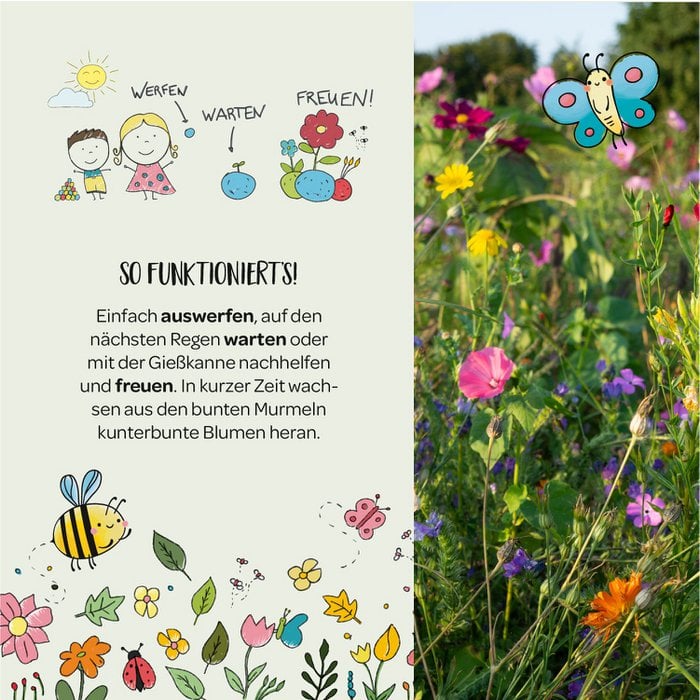 5er Blumenmurmeln Waldfreunde