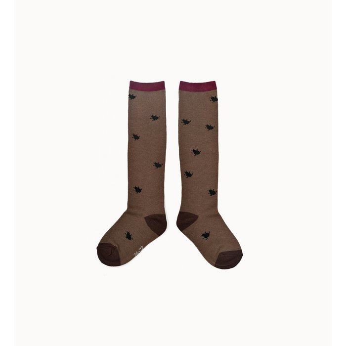 Käfer Stiefelsocke Braun