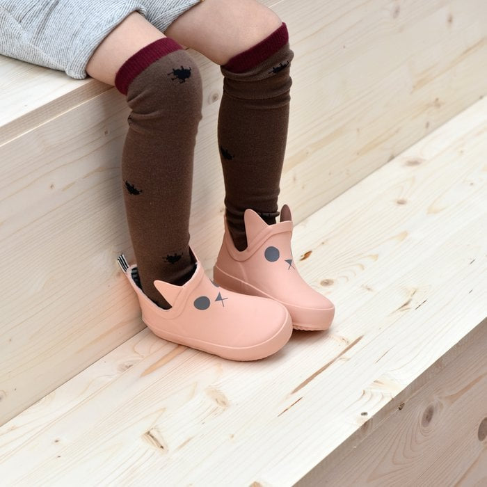 Käfer Stiefelsocke Braun