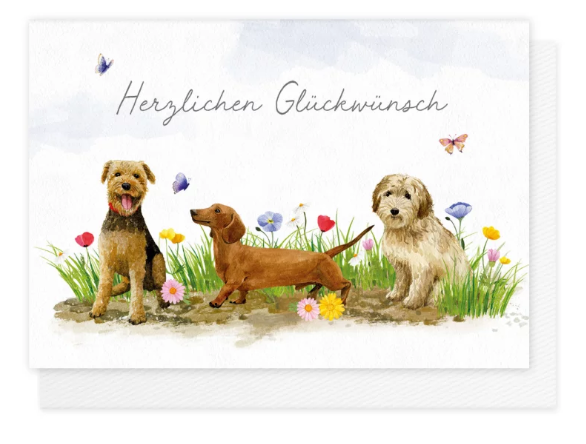 Karte mit Umschlag Herzlichen Glückwunsch Hunde